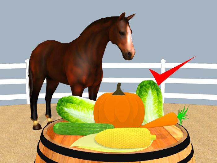 Can horses have food coloring