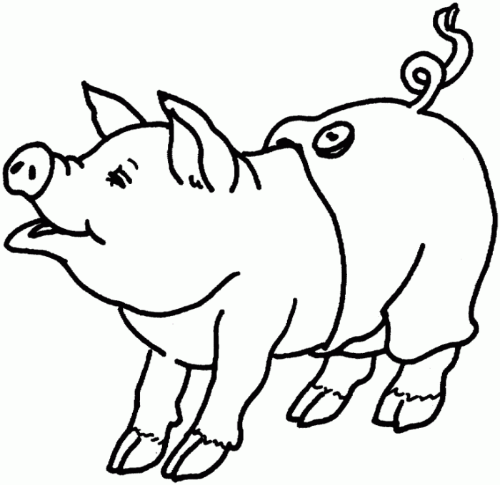 Pig coloring pages simple drawing pigs piggy cartoon draw color template kids fern bank piggies sheets alpha bad getcolorings getdrawings