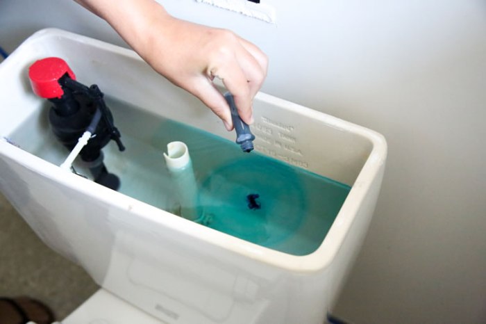 Food coloring toilet leak test