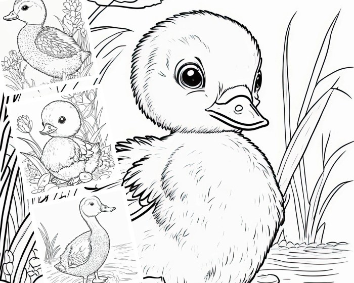 Duckling coloring page