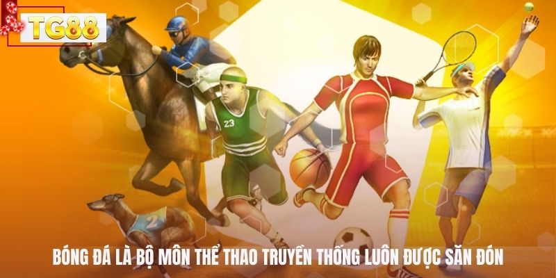 Bóng đá là bộ môn thể thao truyền thống luôn được săn đón