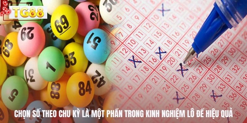 Chọn số theo chu kỳ là một phần trong kinh nghiệm lô đề hiệu quả