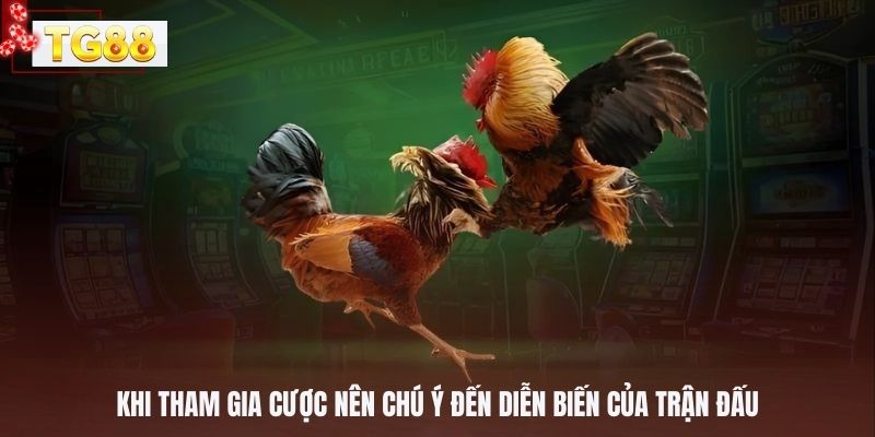Khi tham gia cược nên chú ý đến diễn biến của trận đấu