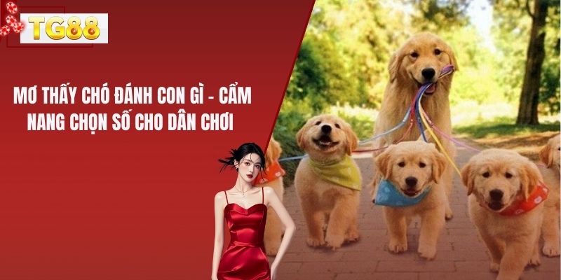 Mơ Thấy Chó Đánh Con Gì - Cẩm Nang Chọn Số Cho Dân Chơi