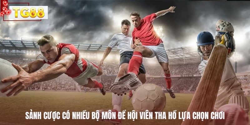 Sảnh cược có nhiều bộ môn để hội viên tha hồ lựa chọn chơi